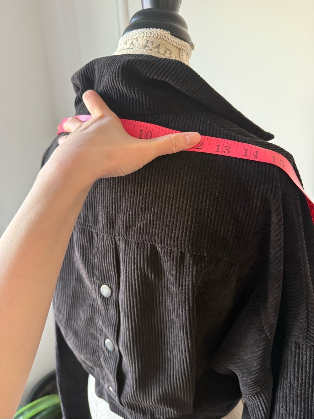 Black corduroy cropped jackets - Picture 9 of 9